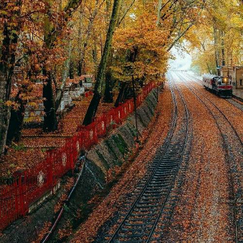 با صدای زن گل ناز داروم مه شوگاروم بیو بیو که دلم سیت تنگه